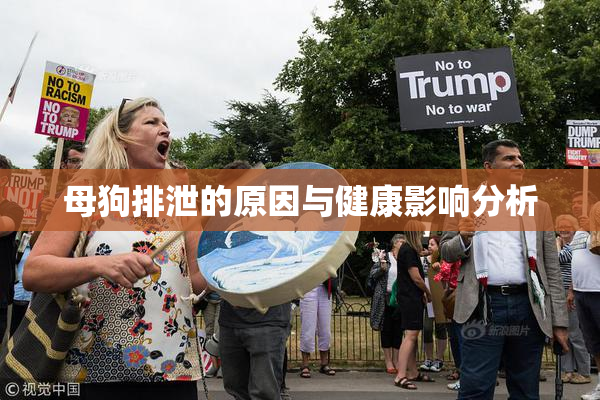母狗排泄的原因与健康影响分析