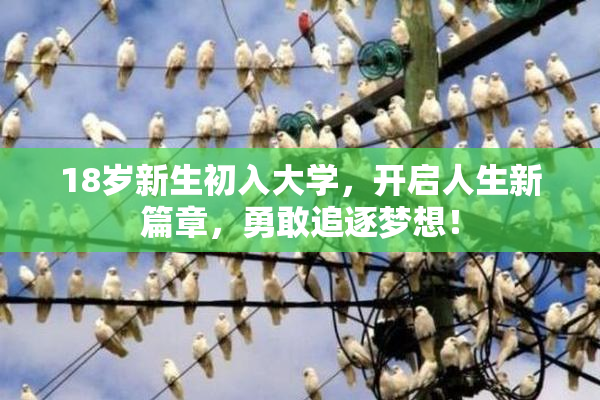 18岁新生初入大学，开启人生新篇章，勇敢追逐梦想！