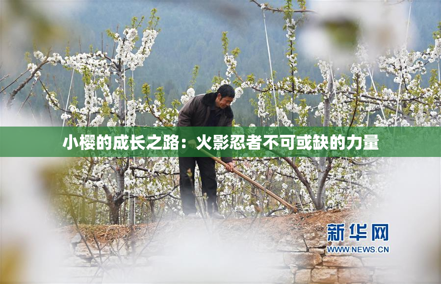 小樱的成长之路：火影忍者不可或缺的力量