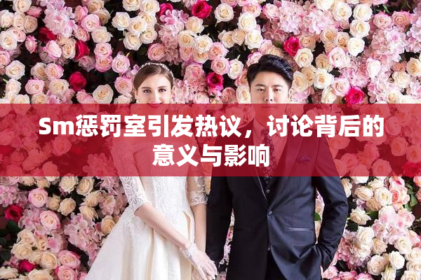 Sm惩罚室引发热议，讨论背后的意义与影响