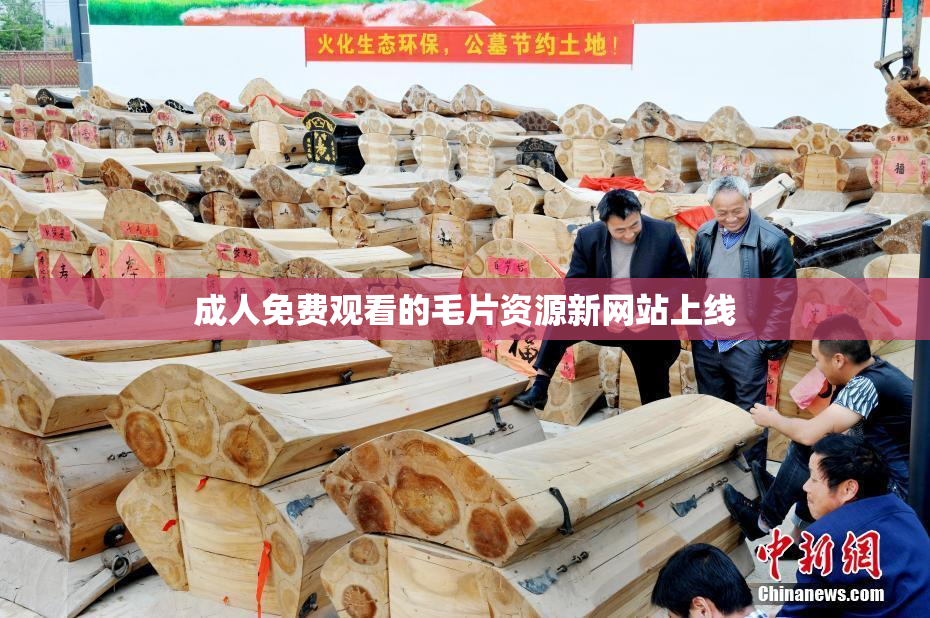 成人免费观看的毛片资源新网站上线