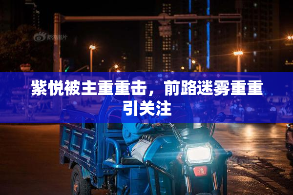 紫悦被主重重击，前路迷雾重重引关注