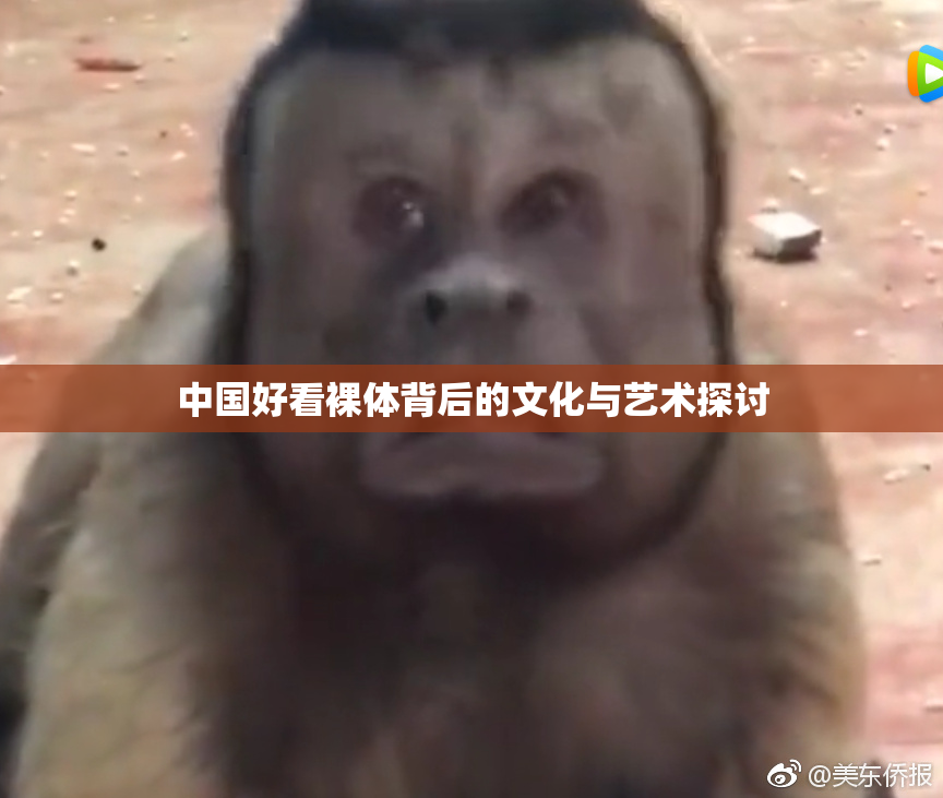 中国好看裸体背后的文化与艺术探讨