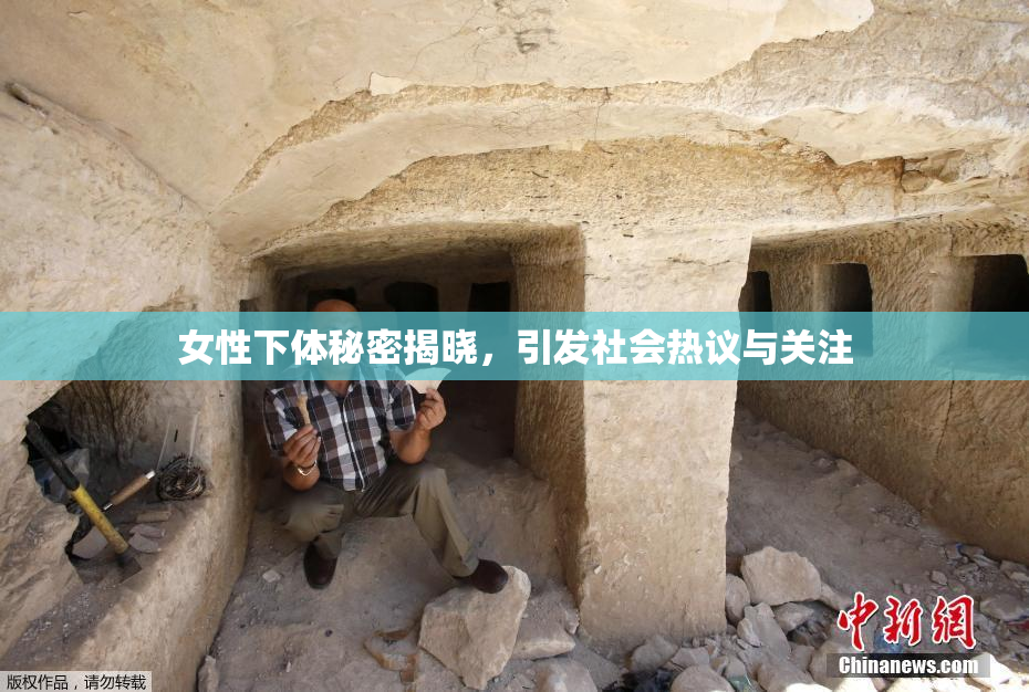 女性下体秘密揭晓，引发社会热议与关注