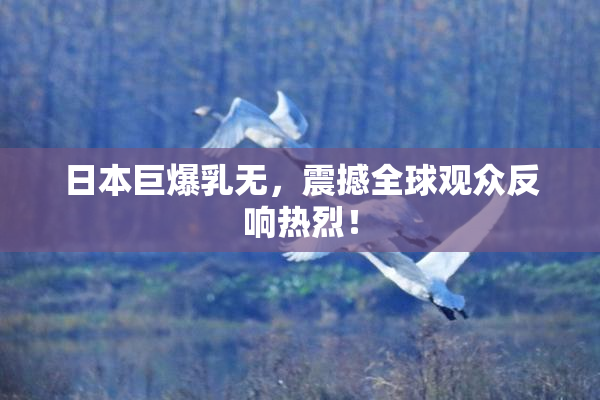 日本巨爆乳无，震撼全球观众反响热烈！