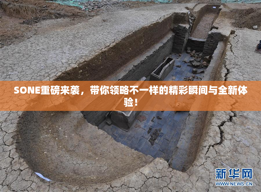 SONE重磅来袭，带你领略不一样的精彩瞬间与全新体验！