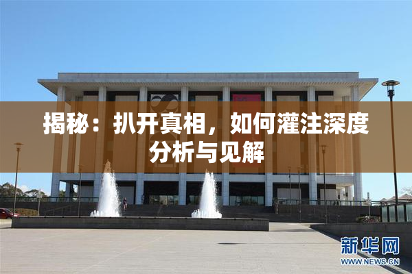 揭秘：扒开真相，如何灌注深度分析与见解