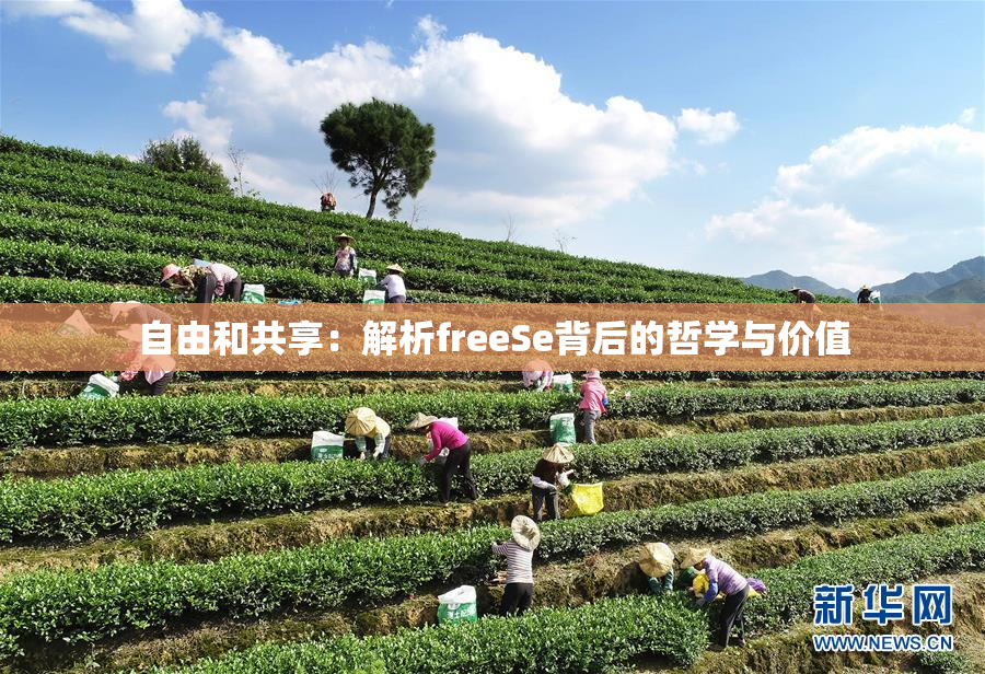 自由和共享：解析freeSe背后的哲学与价值