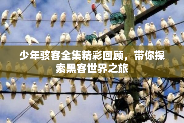少年骇客全集精彩回顾，带你探索黑客世界之旅