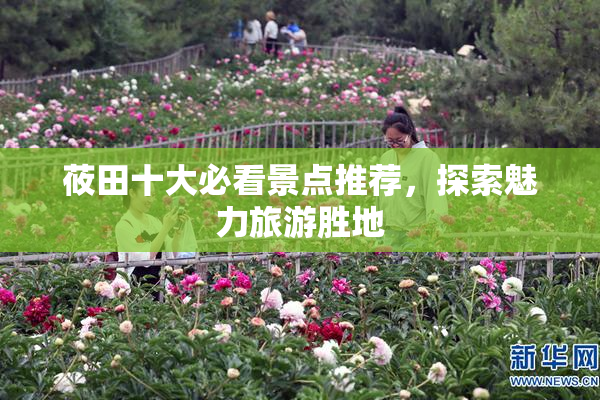 莜田十大必看景点推荐，探索魅力旅游胜地