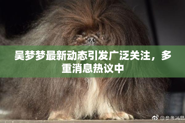 吴梦梦最新动态引发广泛关注，多重消息热议中