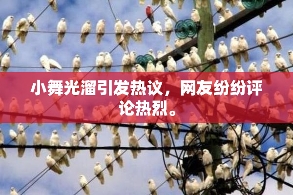 小舞光溜引发热议，网友纷纷评论热烈。