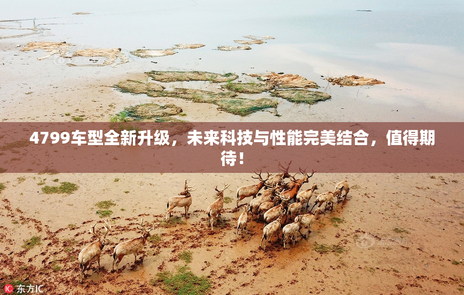4799车型全新升级，未来科技与性能完美结合，值得期待！