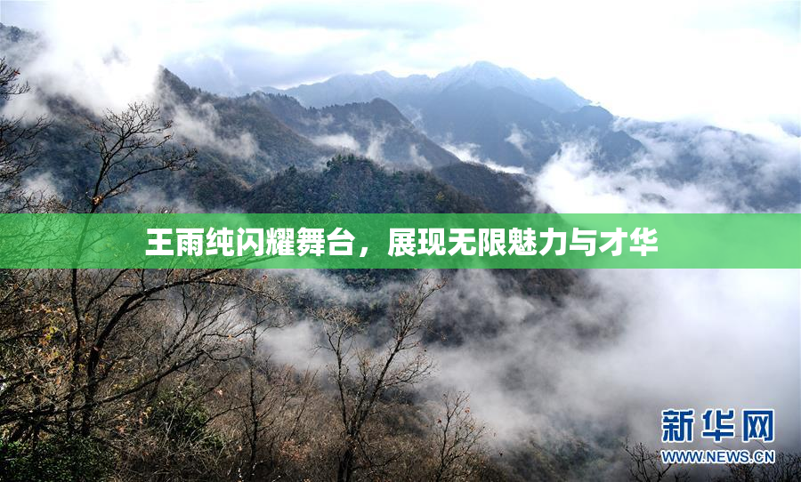 王雨纯闪耀舞台，展现无限魅力与才华