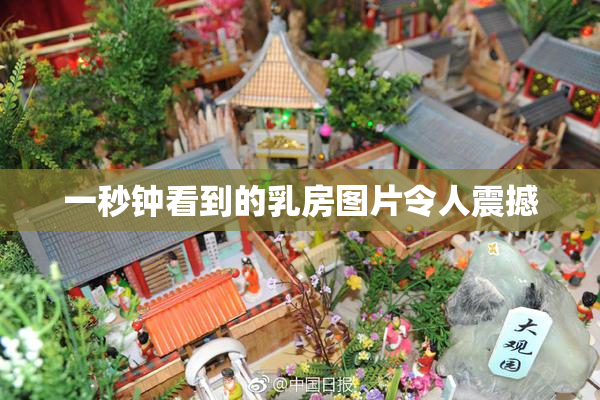 一秒钟看到的乳房图片令人震撼