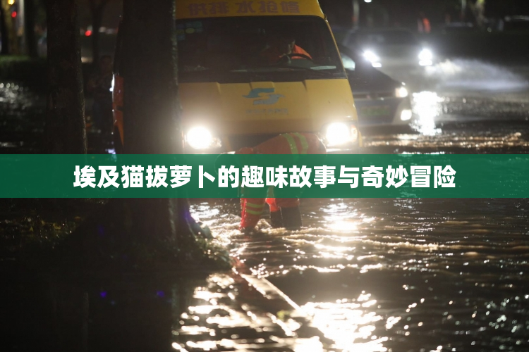 埃及猫拔萝卜的趣味故事与奇妙冒险