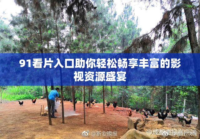 91看片入口助你轻松畅享丰富的影视资源盛宴