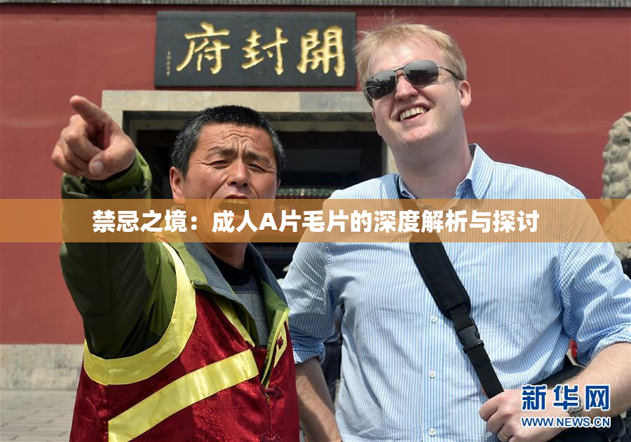 禁忌之境：成人A片毛片的深度解析与探讨