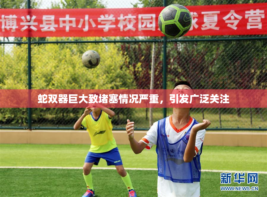 蛇双器巨大致堵塞情况严重，引发广泛关注