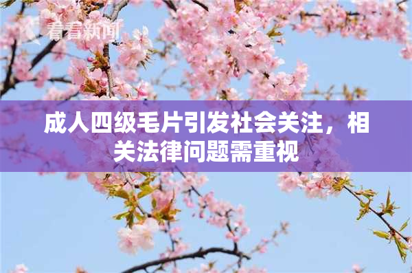 成人四级毛片引发社会关注，相关法律问题需重视