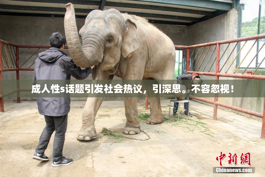 成人性s话题引发社会热议，引深思。不容忽视！