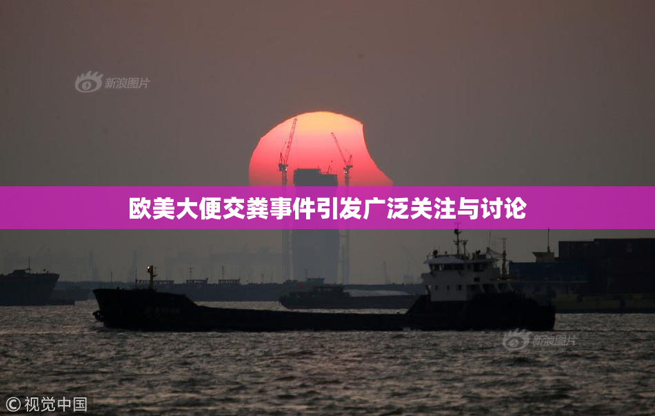 欧美大便交粪事件引发广泛关注与讨论