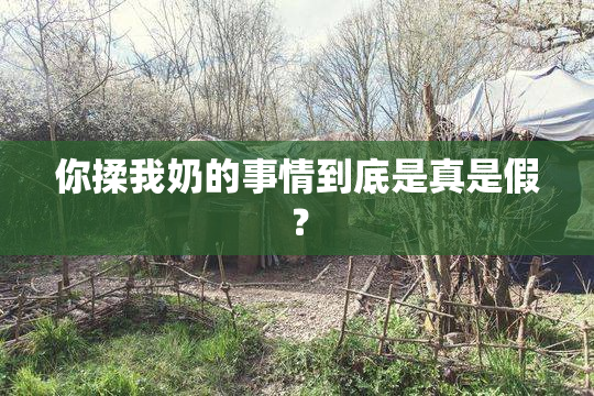 你揉我奶的事情到底是真是假？