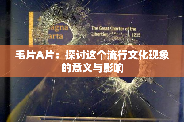 毛片A片：探讨这个流行文化现象的意义与影响