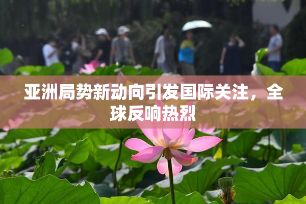 亚洲局势新动向引发国际关注，全球反响热烈