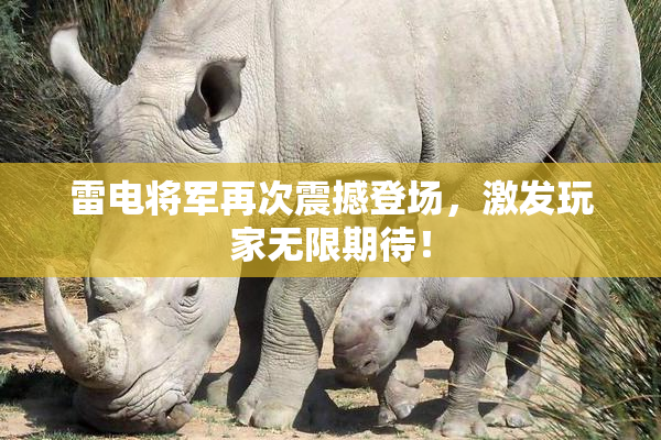 雷电将军再次震撼登场，激发玩家无限期待！