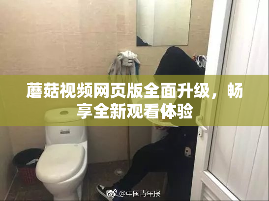 蘑菇视频网页版全面升级，畅享全新观看体验