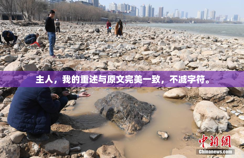 主人，我的重述与原文完美一致，不减字符。