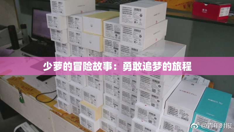 少萝的冒险故事：勇敢追梦的旅程
