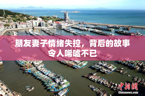 朋友妻子情绪失控，背后的故事令人唏嘘不已