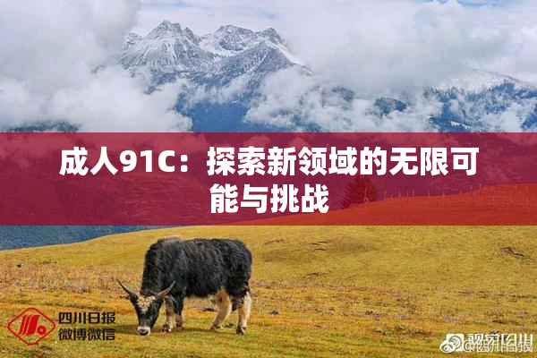 成人91C：探索新领域的无限可能与挑战