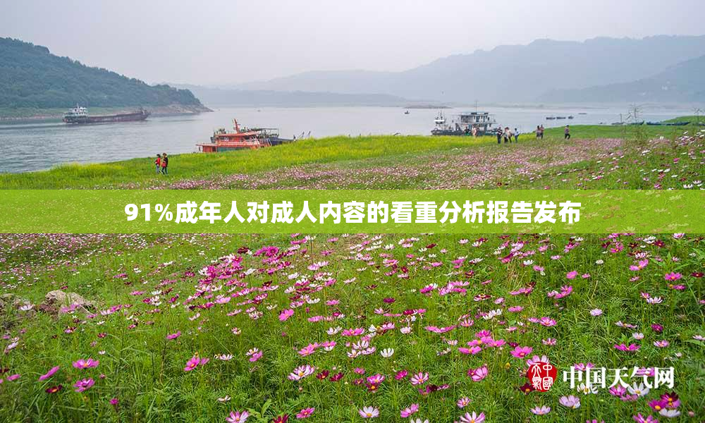 91%成年人对成人内容的看重分析报告发布
