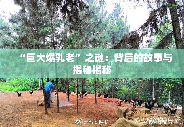 “巨大爆乳老”之谜：背后的故事与揭秘揭秘