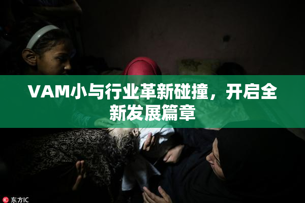 VAM小与行业革新碰撞，开启全新发展篇章