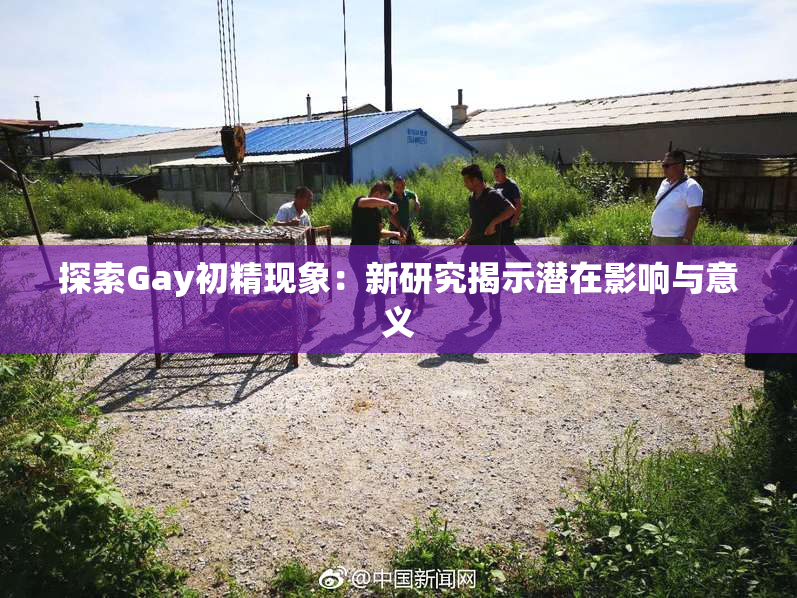 探索Gay初精现象：新研究揭示潜在影响与意义