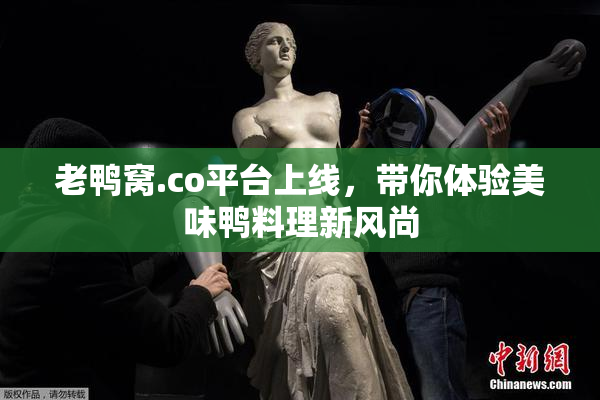老鸭窝.co平台上线，带你体验美味鸭料理新风尚