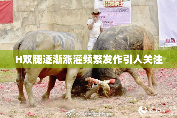 H双腿逐渐涨灌频繁发作引人关注