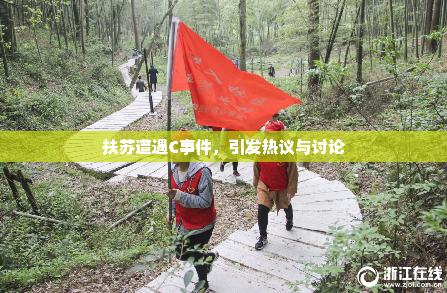 扶苏遭遇C事件，引发热议与讨论
