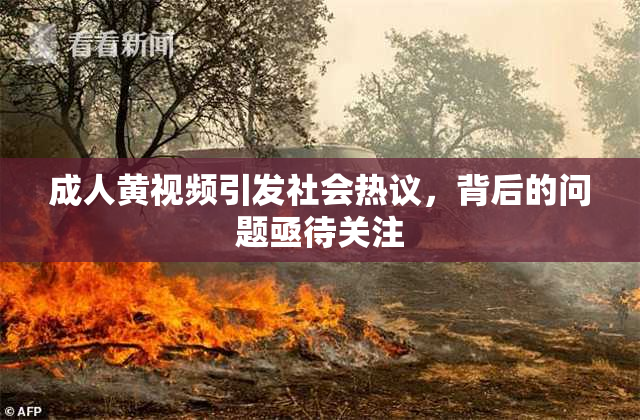 成人黄视频引发社会热议，背后的问题亟待关注