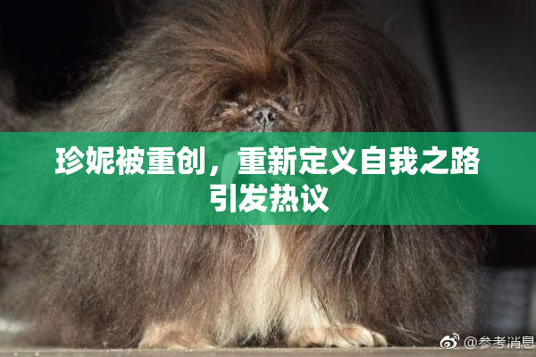 珍妮被重创，重新定义自我之路引发热议