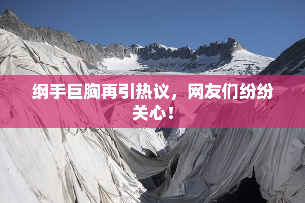 纲手巨胸再引热议，网友们纷纷关心！