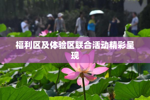 福利区及体验区联合活动精彩呈现