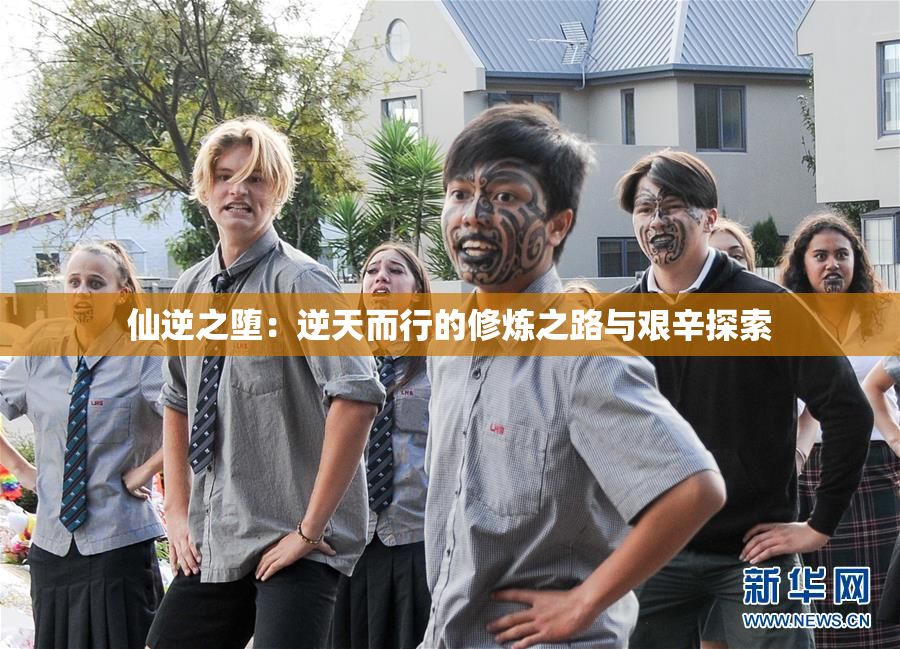 仙逆之堕：逆天而行的修炼之路与艰辛探索