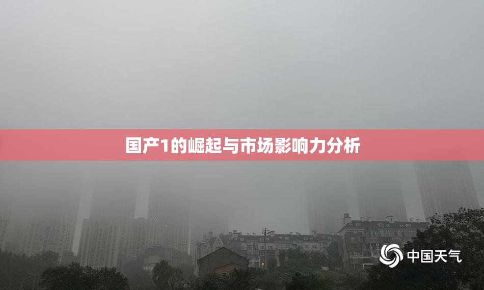 国产1的崛起与市场影响力分析