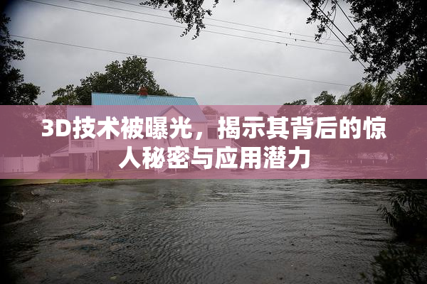 3D技术被曝光，揭示其背后的惊人秘密与应用潜力