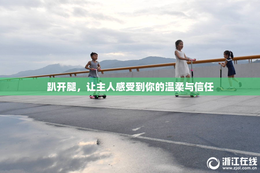 趴开腿，让主人感受到你的温柔与信任